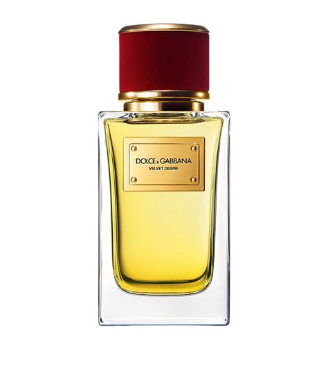 dolce gabbana velvet desire old